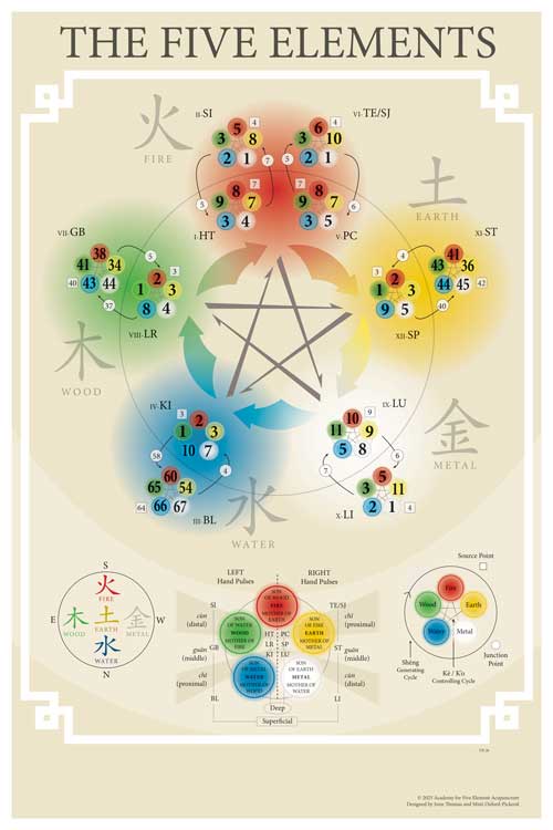 Five Element Acupuncture Poster on Paper, No Logo