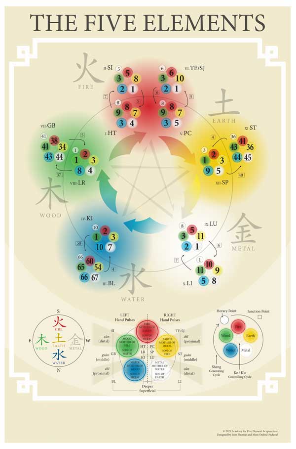 Five Element Acupuncture Poster on Paper, No Logo