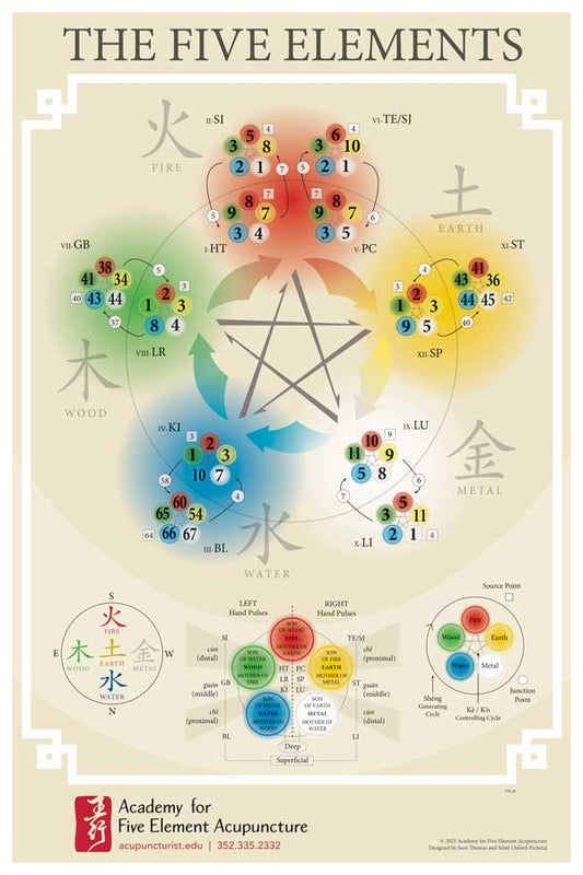 Five Element Acupuncture Poster on Paper, with Academy Logo