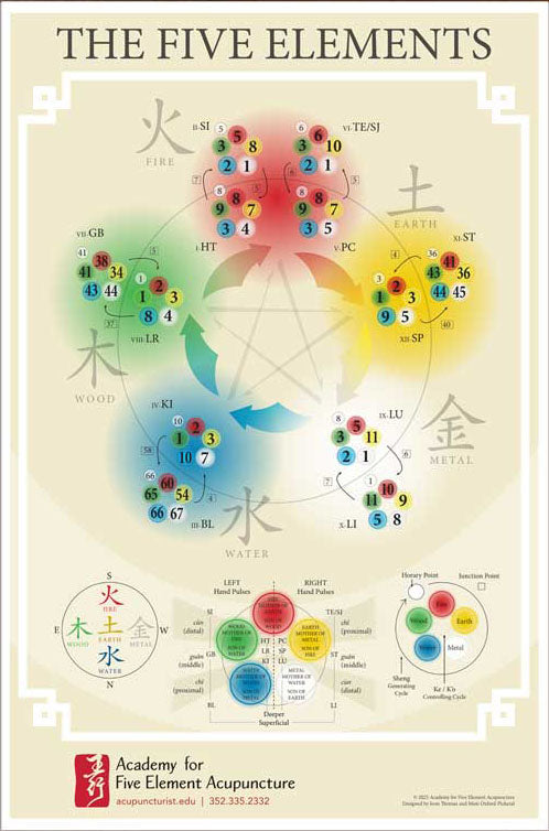 Five Element Acupuncture Poster on Paper, with Academy Logo